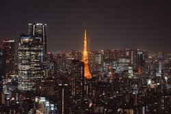This picture features how Tokyo, Japan looks in the night time